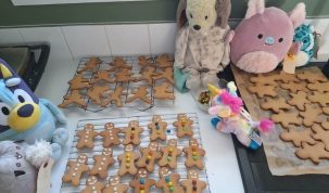 Helensville Library and Service Centre update for August